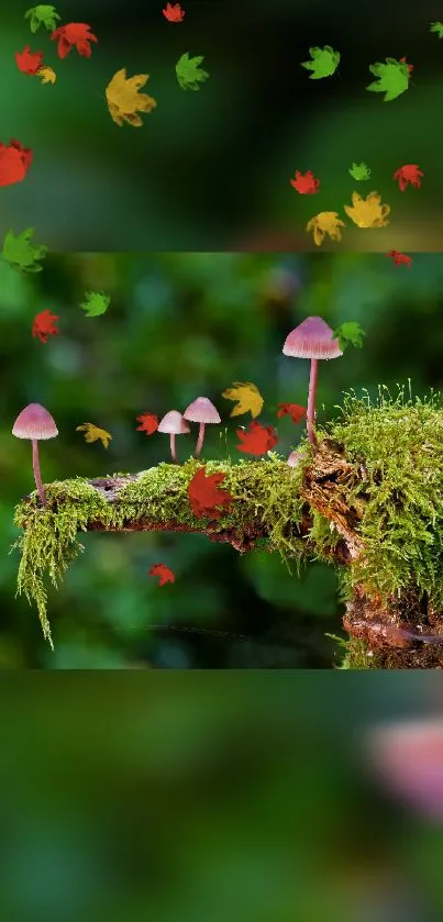 Mushrooms on mossy branch with colorful leaves in lush forest setting.