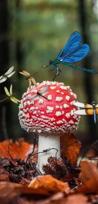 Red mushroom with dragonflies in an autumn forest scene.