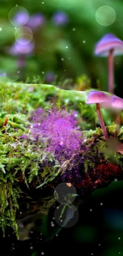 Mushrooms grow on mossy log in forest wallpaper.