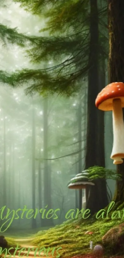 Enchanting forest wallpaper with red mushrooms and lush greenery.