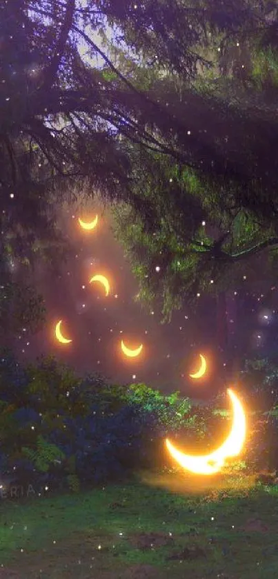 Enchanted forest with glowing crescent moons at night.