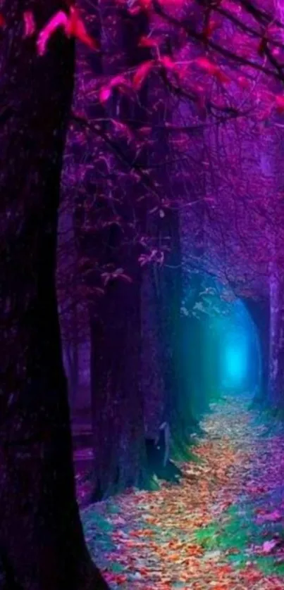 Mystical forest path with vibrant purple hues.