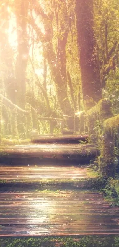 Enchanting forest pathway with lush greenery and sunlight.