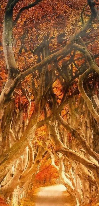 Enchanted forest pathway with twisted trees in autumn hues.