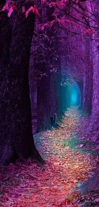 Enchanted forest pathway with purple and pink hues.