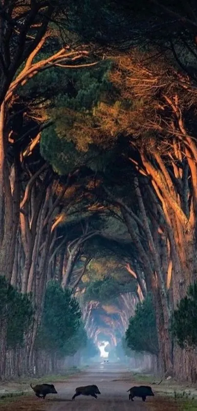 Sunlit forest pathway with wildlife crossing road.