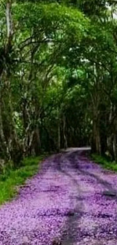 Forest pathway with purple flowers and green canopy.