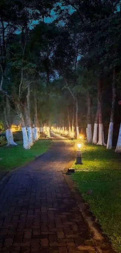 Serene forest path illuminated at dusk, creating a tranquil and enchanting scene.