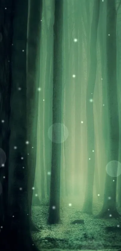 Enchanted forest with tall trees and a foggy ambiance, perfect wallpaper for phones.