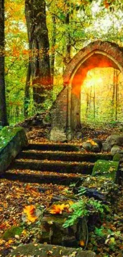 Enchanting sunrise through forest arch with autumn leaves.