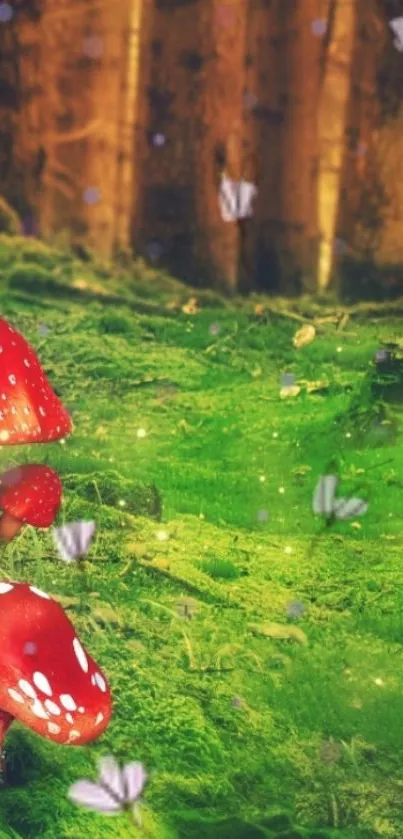 Enchanted forest wallpaper with red mushrooms and green moss.