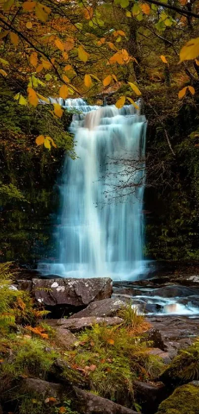 Enchanting forest waterfall with autumn leaves.