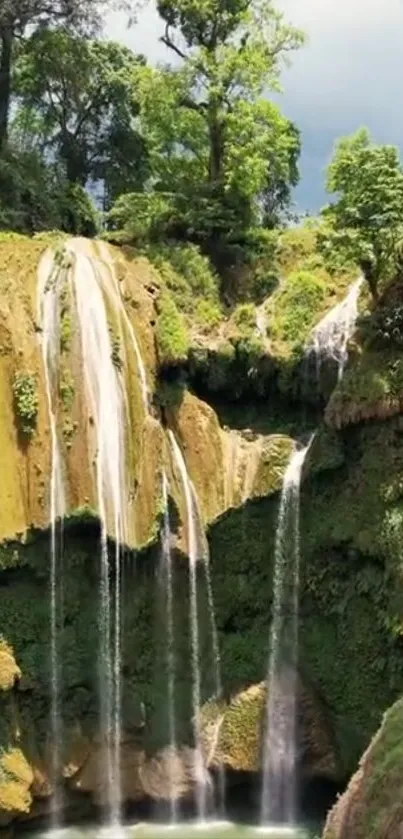 Scenic view of lush green forest with cascading waterfalls.