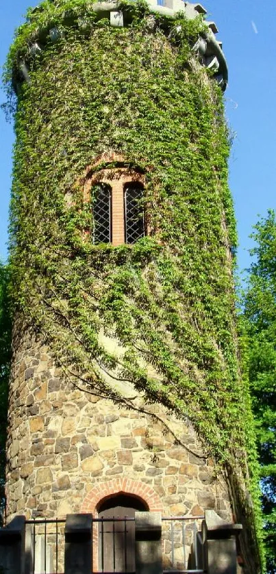 Stone tower wrapped in ivy with lush green background.