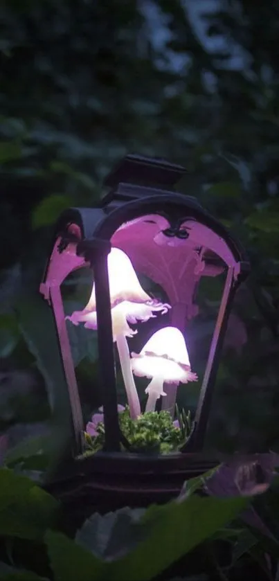 Glowing mushrooms inside an enchanted lantern with a dark green backdrop.