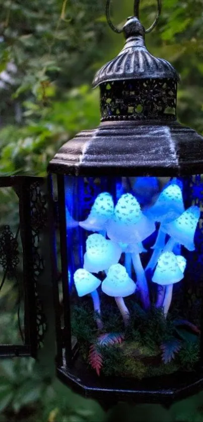 Enchanted lantern with glowing blue mushrooms in a mystical setting.