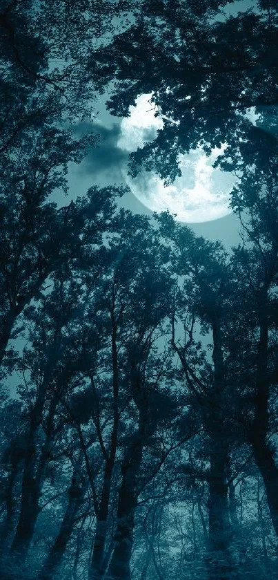 Moonlit forest wallpaper with silhouetted trees and glowing full moon.