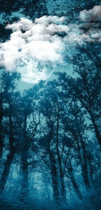 Moonlit forest scene with tall trees and mystical atmosphere.