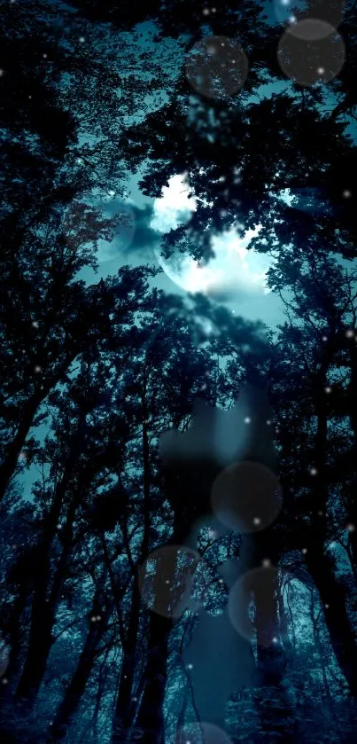 Dark blue night forest with moonlight shining through trees.