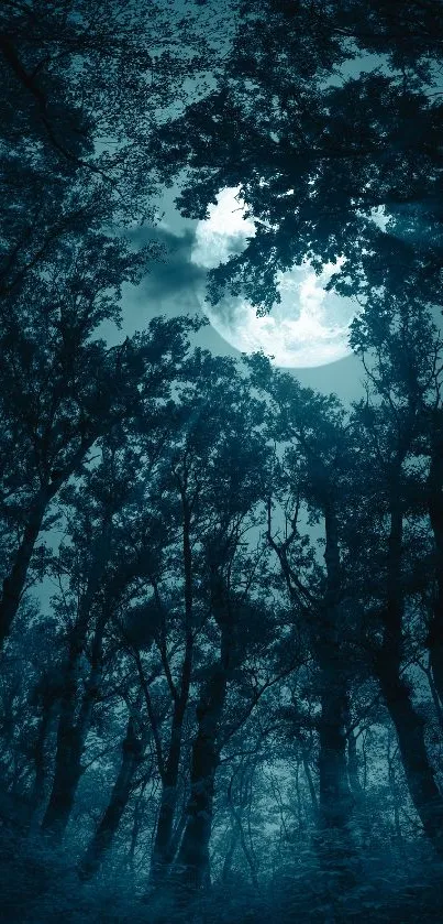 Enchanted forest at night with a glowing moon in a dark blue sky.