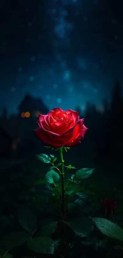 A glowing red rose under a starry night sky with a dark, mystical background.