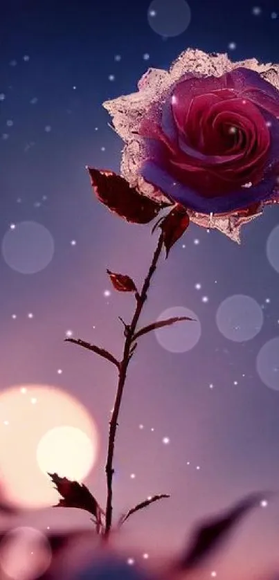 A single rose under a starry sky and full moon in a dreamy night scene.