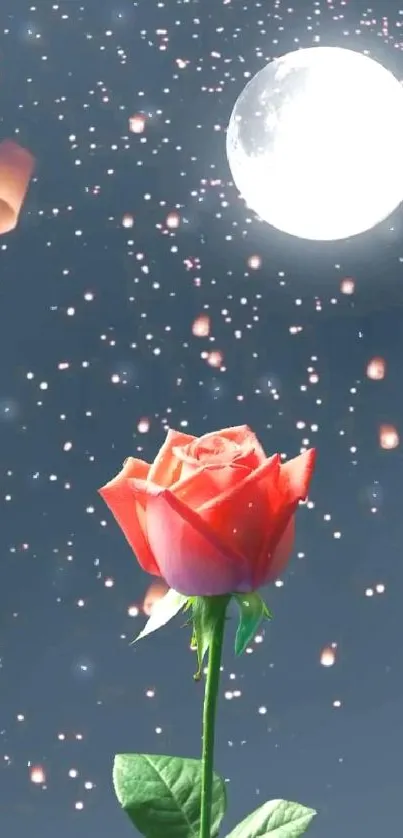 Red rose under moonlit starry night with lanterns.