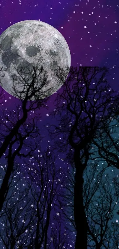 Full moon with silhouetted trees against a starry purple sky.