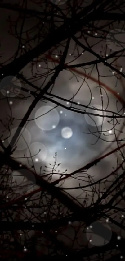 Silhouetted branches against a moody, cloudy night sky with moonlight.