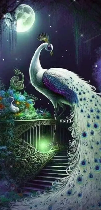 Enchanted night scene with a peacock.