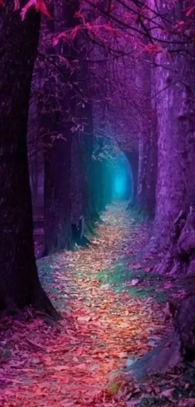 Enchanting purple forest path wallpaper with vibrant colors.