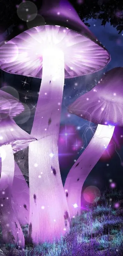 Magical purple mushrooms in an enchanted forest setting with a mystical glow.