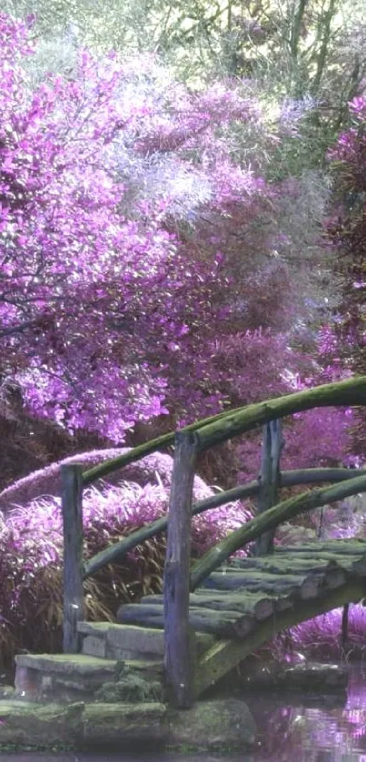 Enchanted purple garden with wooden bridge and lush foliage.