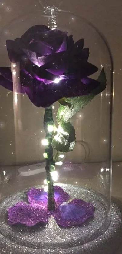 Enchanted purple rose in a glass dome with sparkling lights.