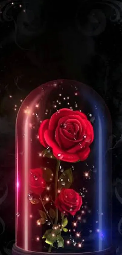 Red rose under glass dome with sparkling lights.