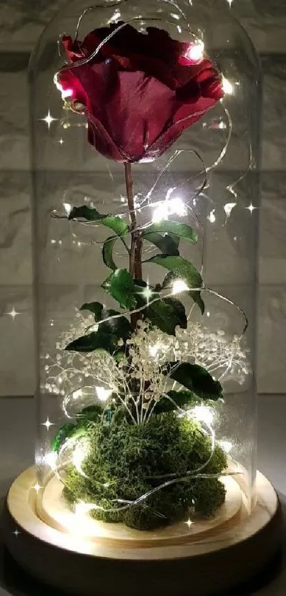 Glowing rose under glass dome with fairy lights, on wooden base.