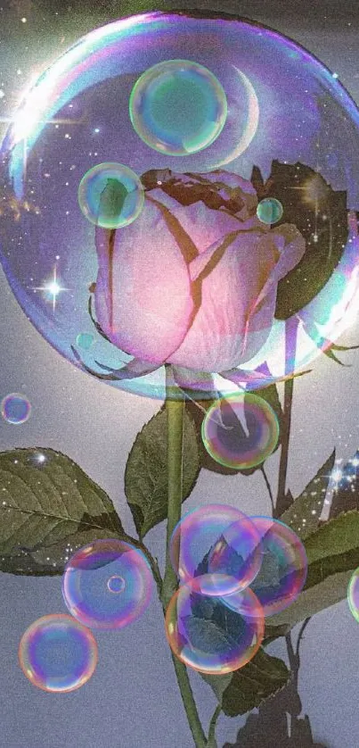 Rose in a bubble with sparkling stars, creating a magical wallpaper.