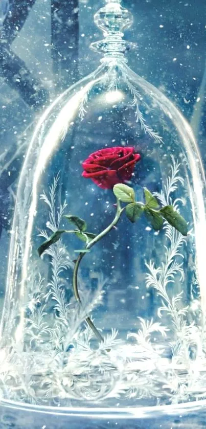 Enchanted rose in a glass dome with sparkling winter background.