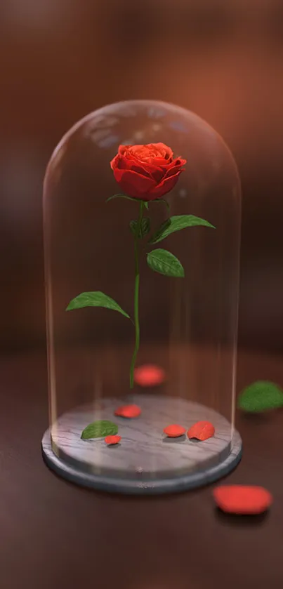 Enchanted red rose inside glass dome on wood table.