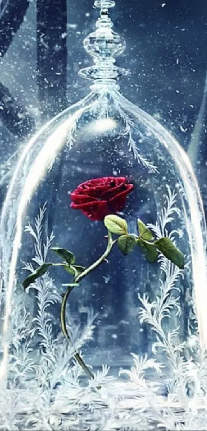 Red rose encased in a crystal glass dome with blue background.