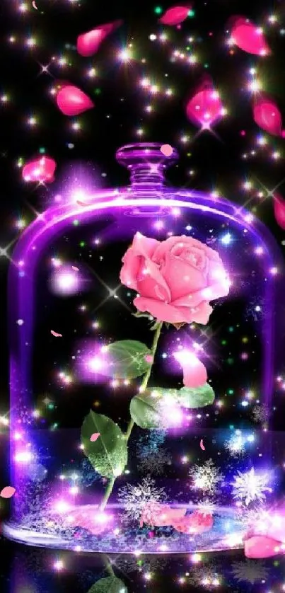 Glowing pink rose under a glass dome with sparkles.