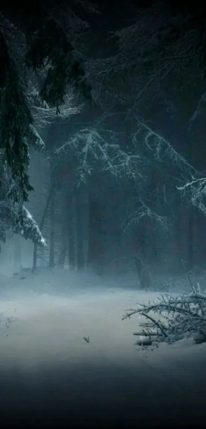 Snow-covered forest with dark trees and a serene winter atmosphere.