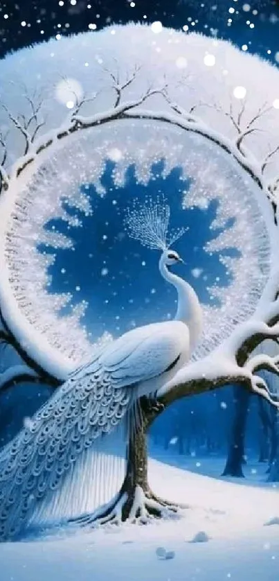 A snowy peacock in a winter wonderland with blue and white hues.