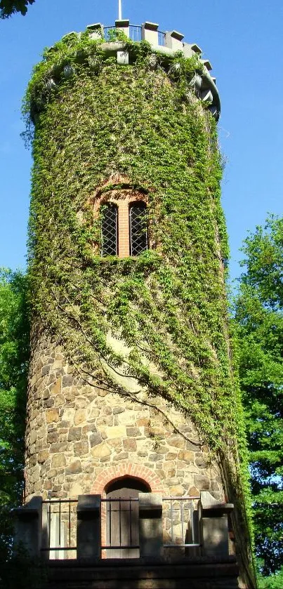 A medieval stone tower surrounded by vibrant greenery and a clear blue sky.