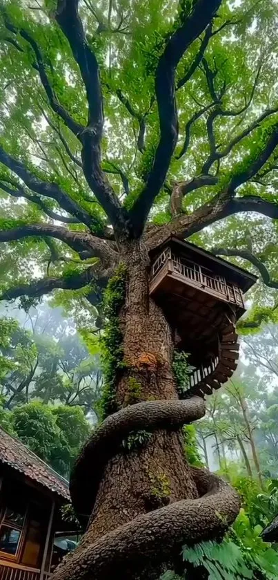 Majestic treehouse surrounded by green forest foliage.