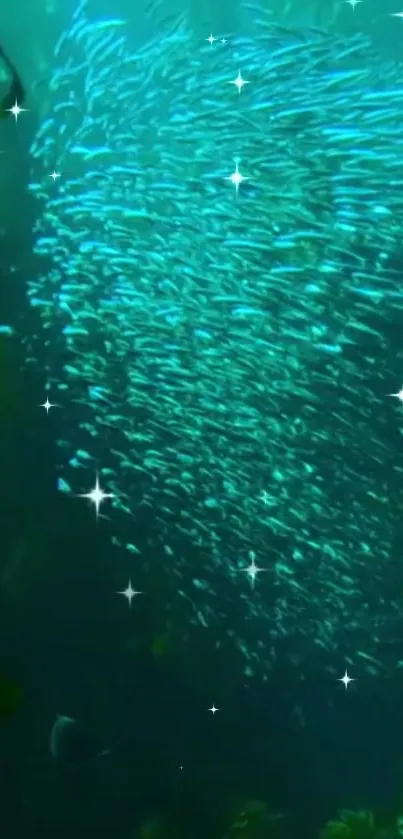 Shoal of shimmering fish in turquoise waters with sparkles.