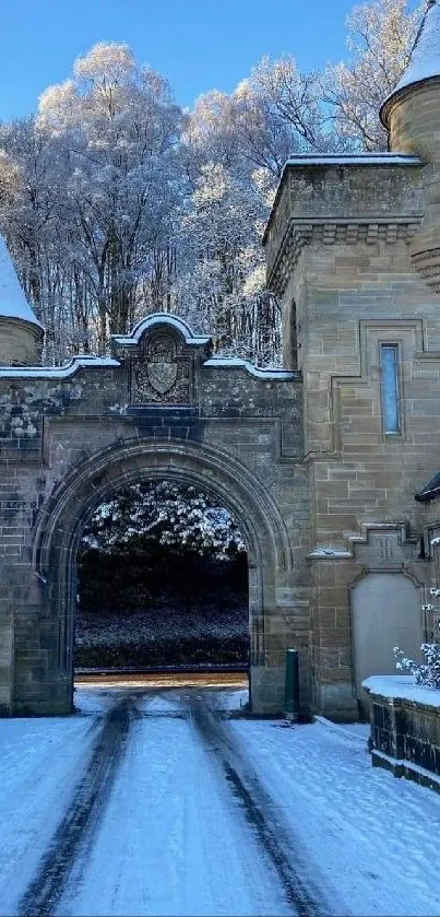 Enchanted gateway with snow in a winter forest setting.