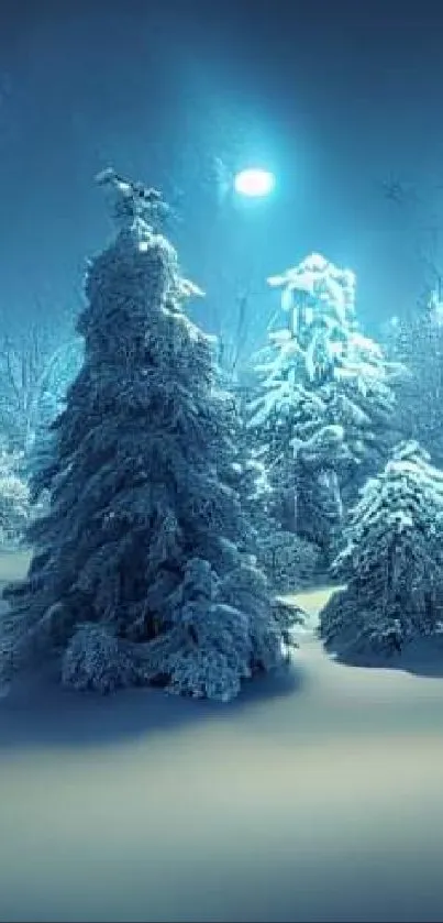 Snow-covered trees in a mystical blue-lit winter forest.