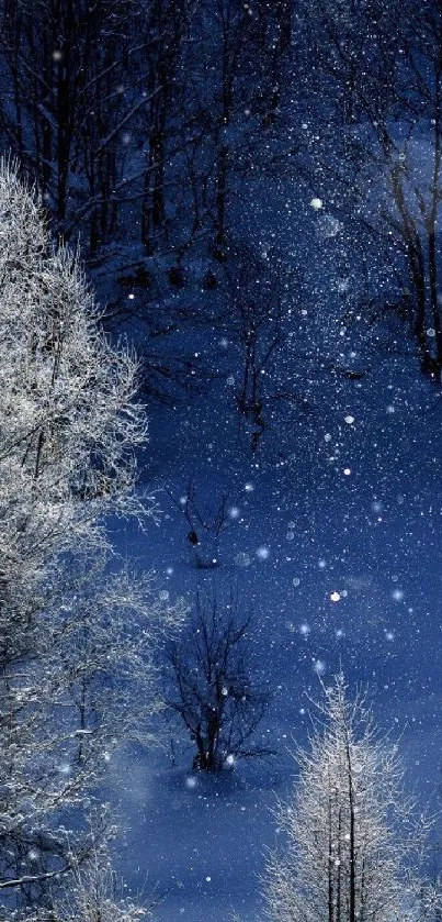 Serene winter forest wallpaper with snow at night.