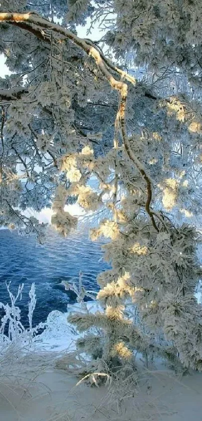 Snowy forest with a blue river view, creating a serene winter atmosphere.